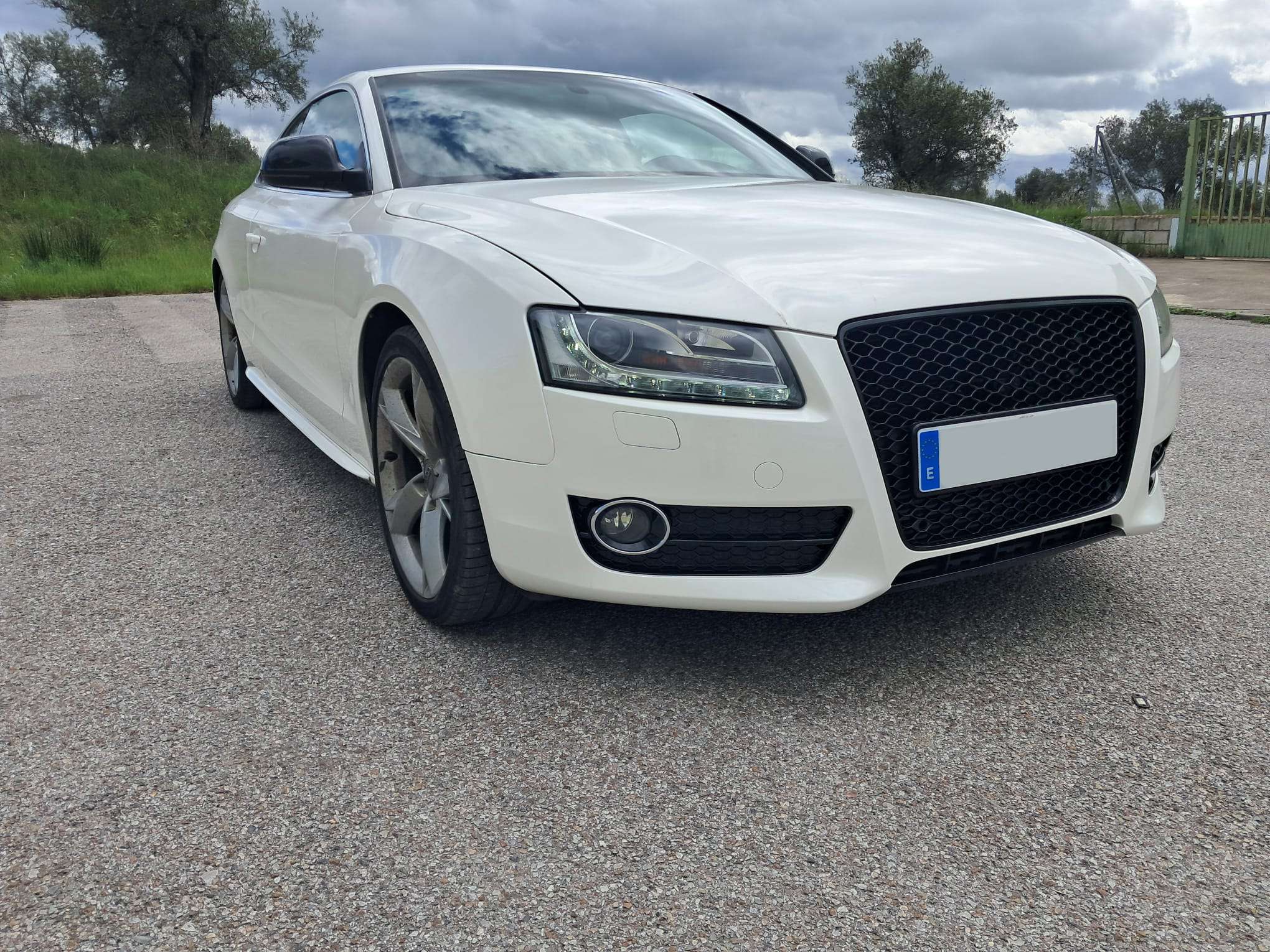 WhatsApp Image 2025-04-16 at 16.55.27 (2)