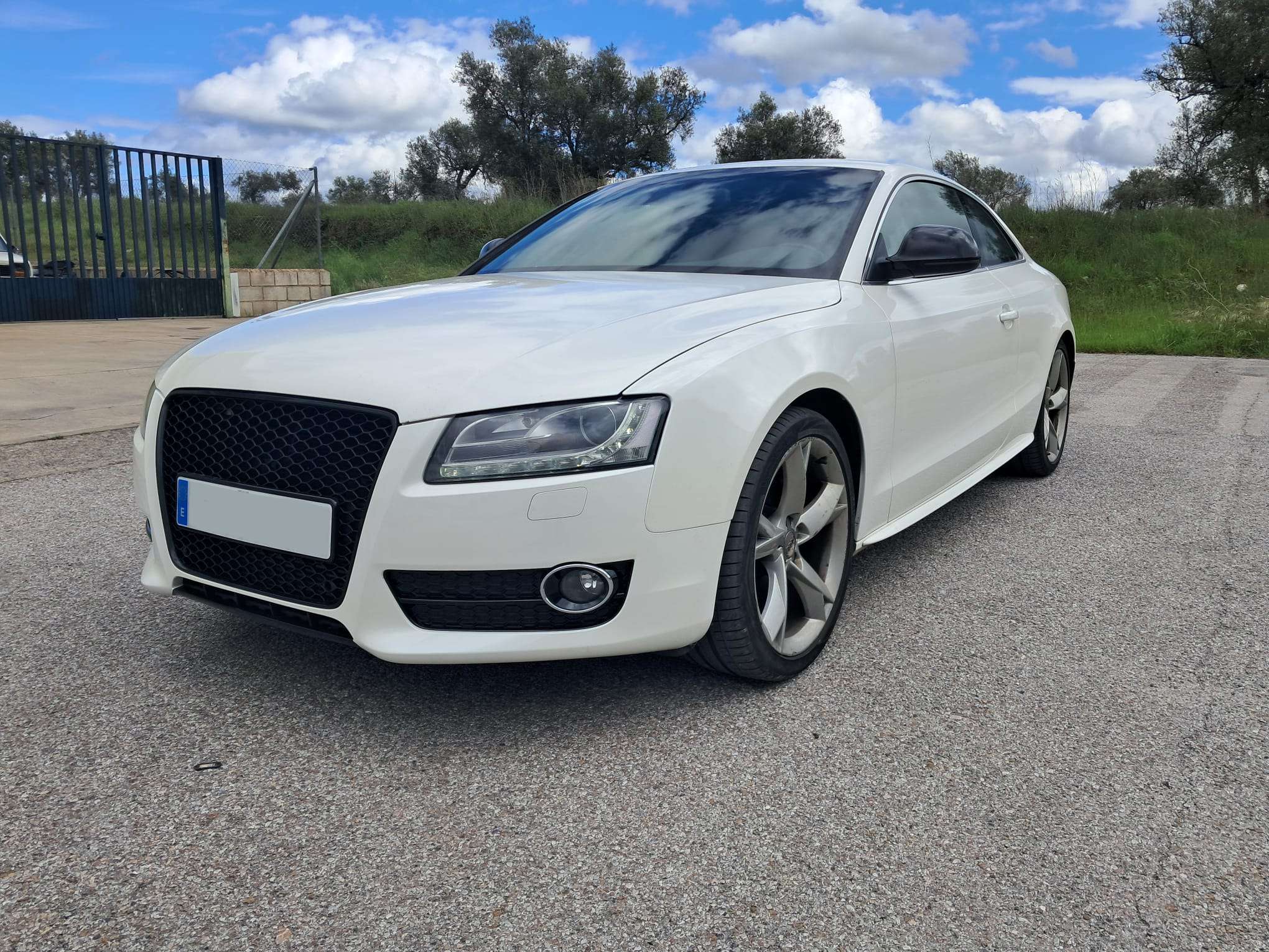 WhatsApp Image 2025-04-16 at 16.55.28 (1)